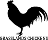 Huntessential's tweet photo. Visit our website...www.grasslandchickens.co.za https://t.co/7wgWxE1CKx