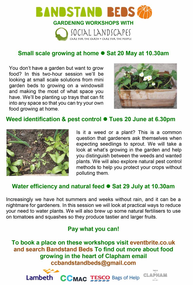 BandstandBeds's tweet photo. @sociallands will be with us on ClaphamCommon tomorrow running our pay-what-you-can Small Scale Growing workshop. https://t.co/TCY0RQeLRj