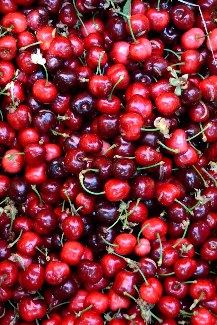 23ème Fête de la cerise à #Céret le Samedi 20 et Dimanche 21 Mai !
Beaucoup d'animation, RDV sur le  sur le site ot-ceret.fr