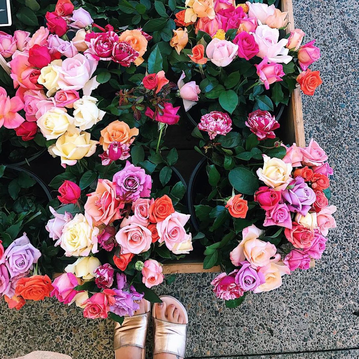 Khoollect's tweet photo. London is in bloom and it's beautiful! #khoollectdream https://t.co/eCYyOAr9Cd