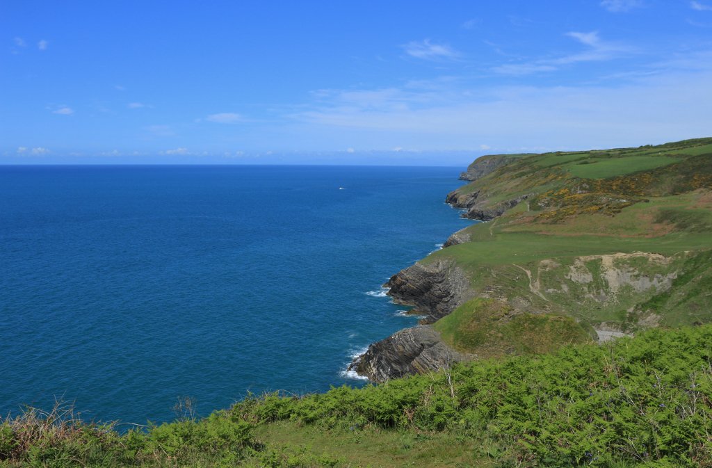 Stunningly beautiful@NTWelshCoast <a href="/WalesCoastPath/">Llwybr Arfordir Cymru / Wales Coast Path</a> in all directions at Pen y Graig NT nr Cwmtydu Ceredigion