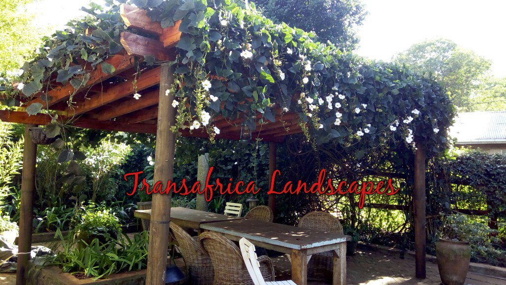 transafricaint2's tweet photo. Get this amazing pergola for your Madaraka day #MwFCon17 #KiQwetuFriday #JKLive #BahatiBird . call us today 0710181515 https://t.co/9kktnpVZjD