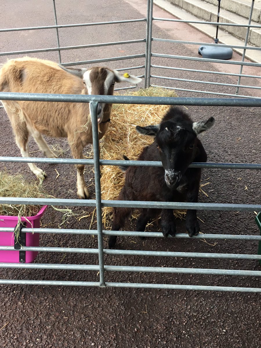 UCLU AEO tweet media