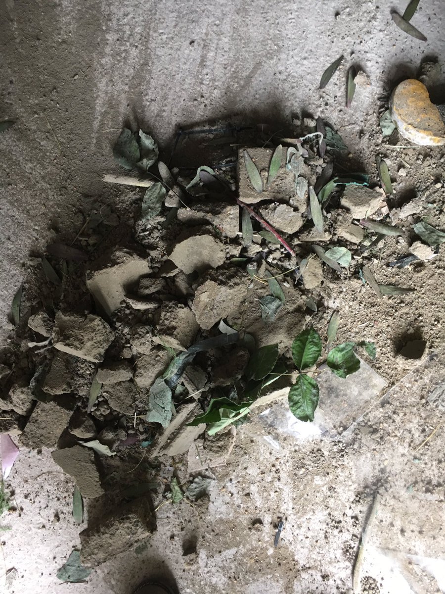 My husbands garage floor after a massive RHS Chelsea mechanics failure <a href="/AliRVowles/">Ali Vowles</a> my beautiful flower arrangement :-(