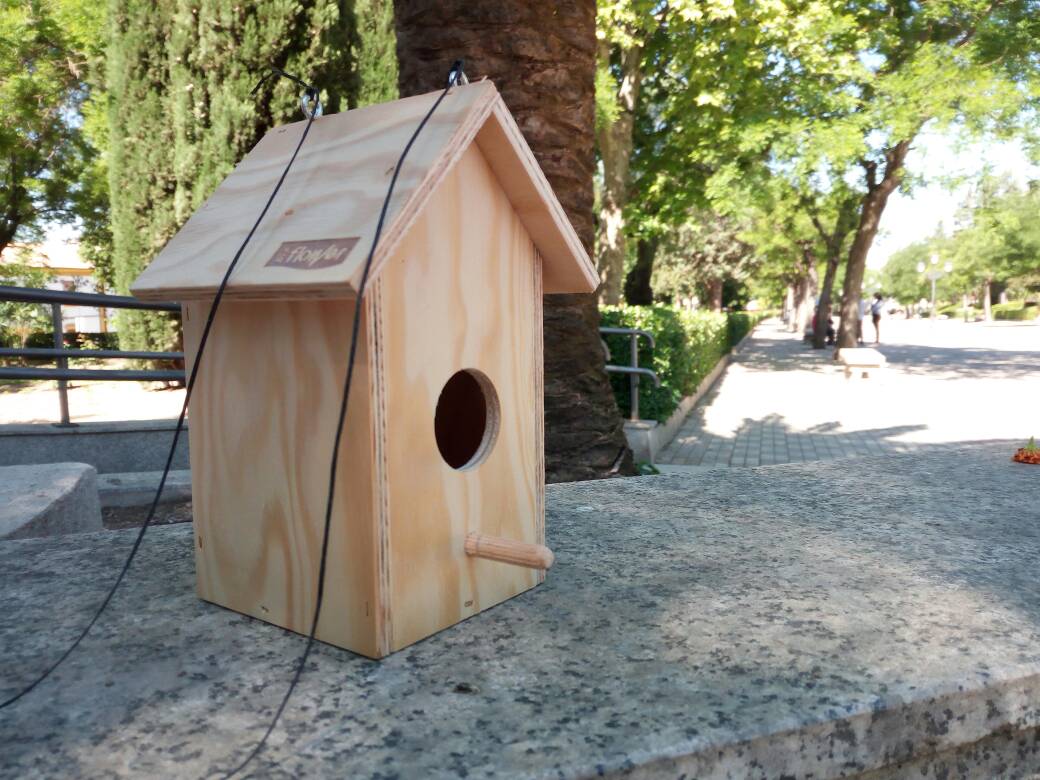 TdjDirecto's tweet photo. AHORA | El Ayuntamiento coloca 24 cajas nido en el Parque Municipal https://t.co/d8iv6Z1fWH