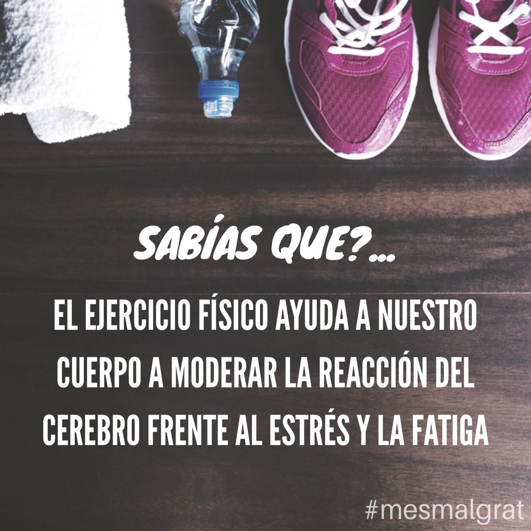 mesmalgrat's tweet photo. ☝️ #fitness #motivacion #tip #ejercicio #salud #mesmalgrat #gym #viernes #beneficio #actividadfisica #sentirsebien #fit https://t.co/qr390iQbKX