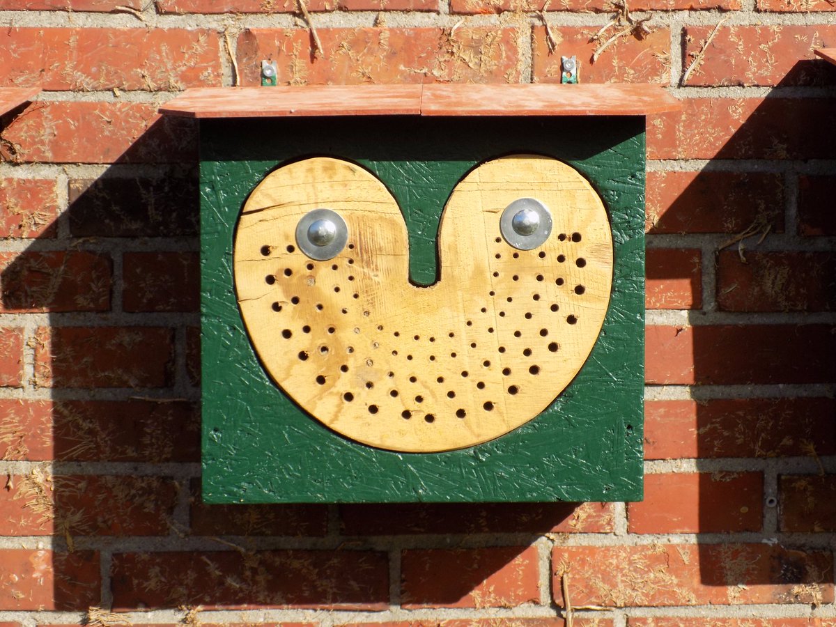JanWillem_Zwart's tweet photo. "Silence of the Bees" vraagt geen geld van #LF2018 "Wy rêde úsself"Wij hebben ingezet op interreg A Wetenschap educatie kunst biodiversiteit https://t.co/wHoG3gJMVl