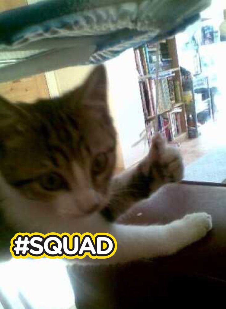 #FF everyone tagged in this. Great youtubers, streamers and hopefully friendos. @PinkFox94 <a href="/Bish_TTF/">Bish 🌐</a> <a href="/RichXHDx/">Rich𝕏</a>