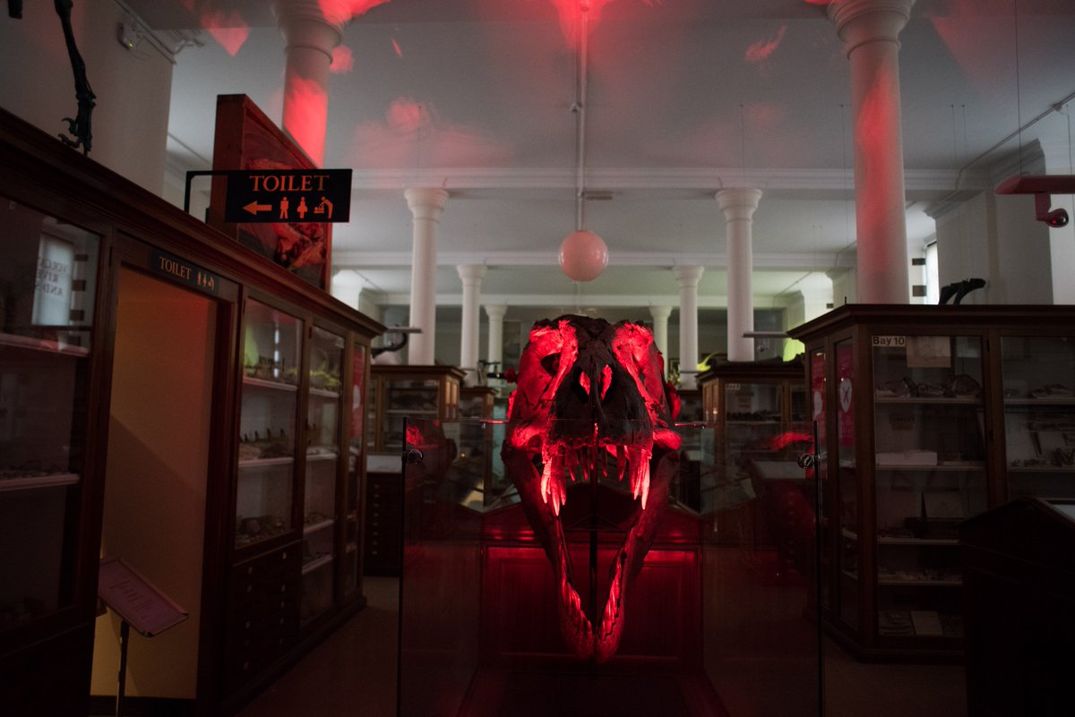 CamUnivMuseums's tweet photo. Love museums? Want to share the love? Excellent - apply for our Marketing Assistant post: https://t.co/NGATH7Ez7S https://t.co/RbXMq30u8A