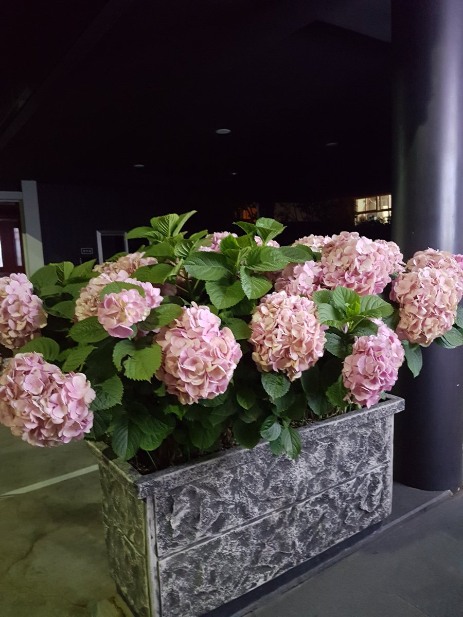 NaNa (@gsa00034) on Twitter photo 