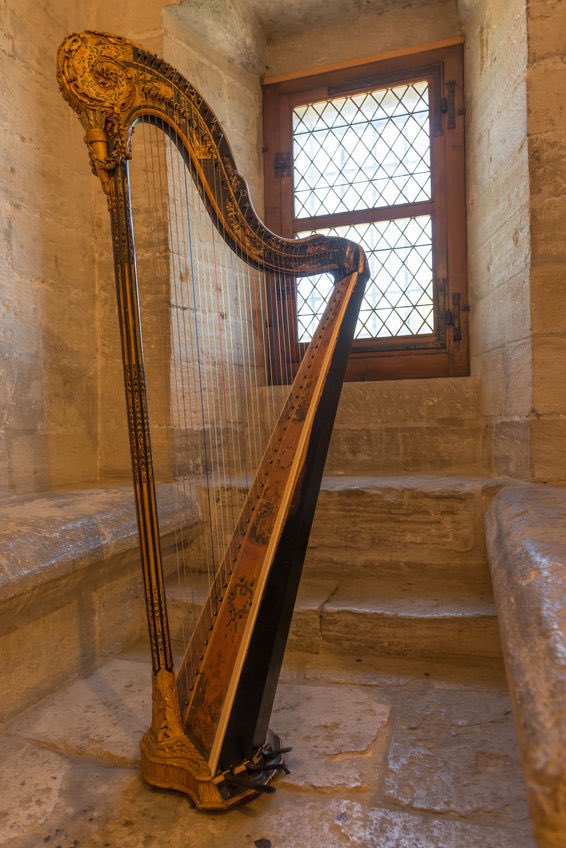 HitchinChamber's tweet photo. The harp has to be one of the most fascinating of string instruments to watch 🎟Afternoon Tickets £5 Children FREE🎟 🎞https://t.co/QP4EhlGau4 https://t.co/kyvudus29B
