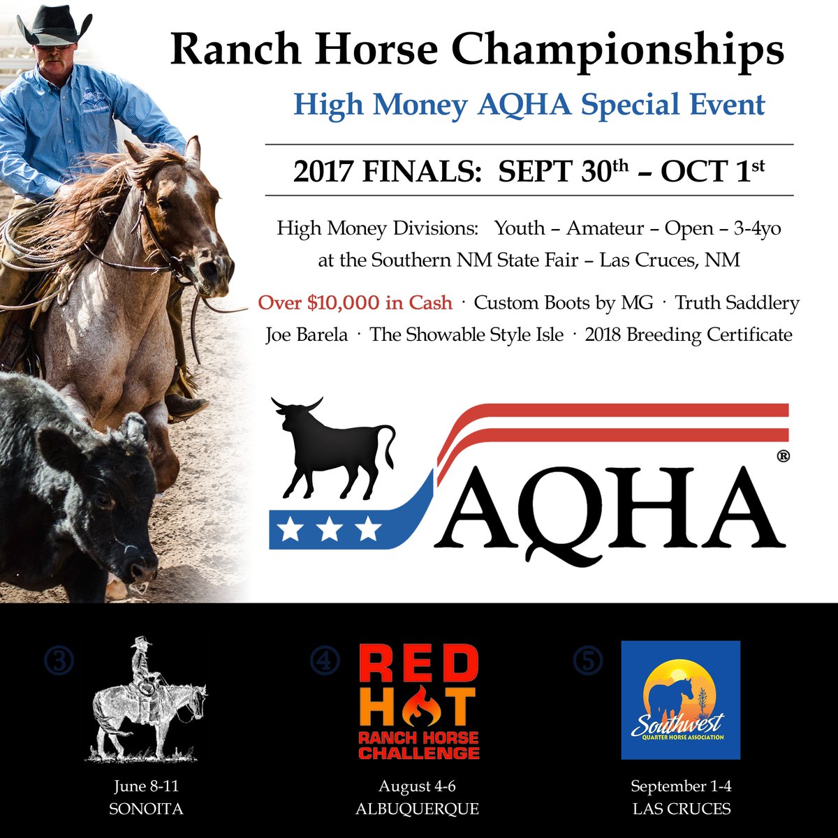 Ranch Horse Champion tweet media