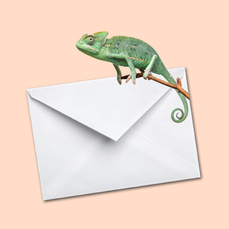 hours_inc's tweet photo. If you’re saving Friday emails for Monday, you’re doing it wrong! https://t.co/T7B5lTKX3n via @Yesware #FridayFeeling #sales https://t.co/ss6MJK8gM4