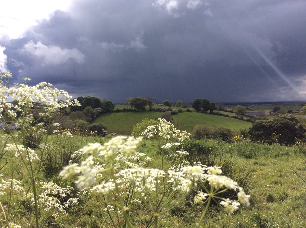 Broody skies in #Ballymote yesterday #Sligo
#IrishScenery #IrishPhotography