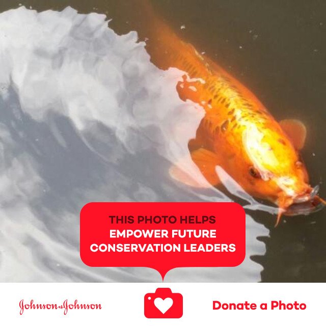 anitasunshine93's tweet photo. #SCAnyc #jnj #donateaphoto #CareToRecycle https://t.co/AZXcXjbxaI https://t.co/ys3jow46GT