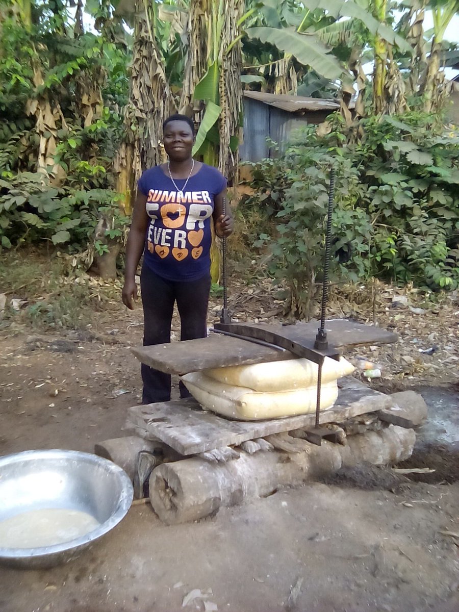 EdoAgriHub's tweet photo. 1. @EdoStateGovt With Data collected on cassava,it has changed the perception of our farmers. https://t.co/8Wllt1FAS0