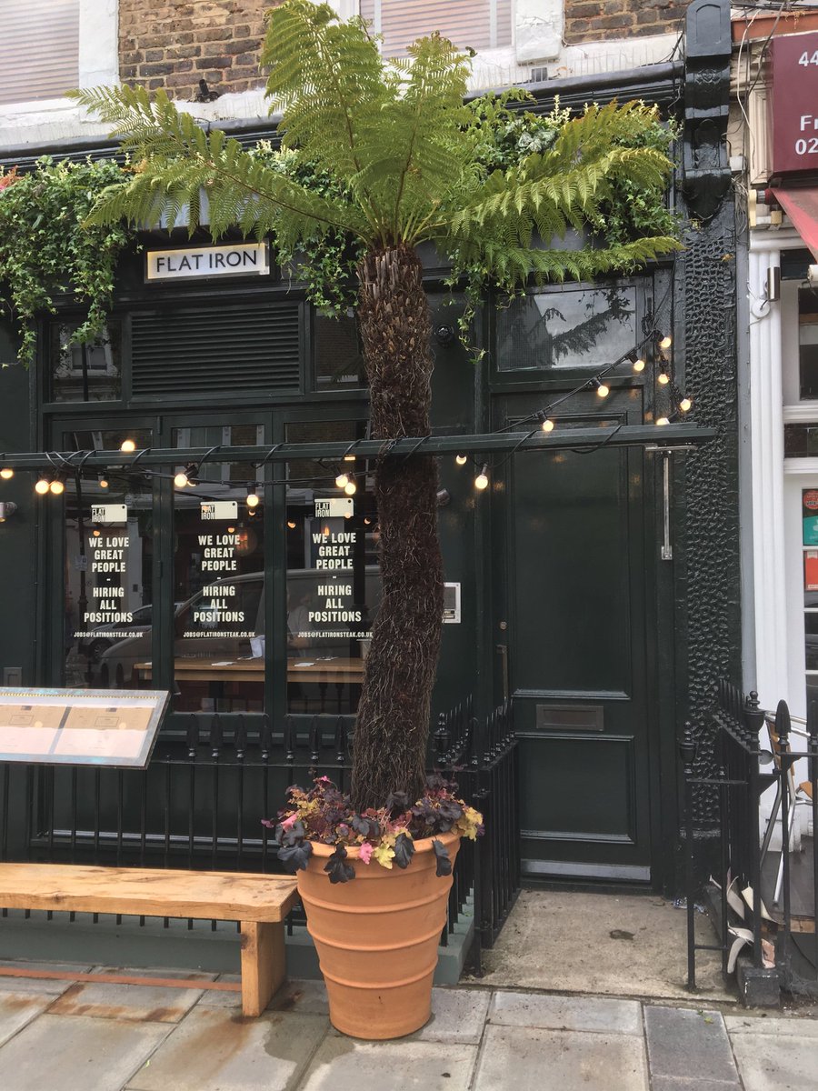 “Yeah, let’s put some kind of little potplant outside, a fern or something…”