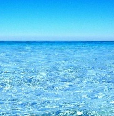eloisa_kantox's tweet photo. We sail in a #blueocean. #Kantox #DynamicHedging #CopertureAutomatizzate #Automation #Tecnologia per la #Finanza https://t.co/iVrZ0QVZ7Y