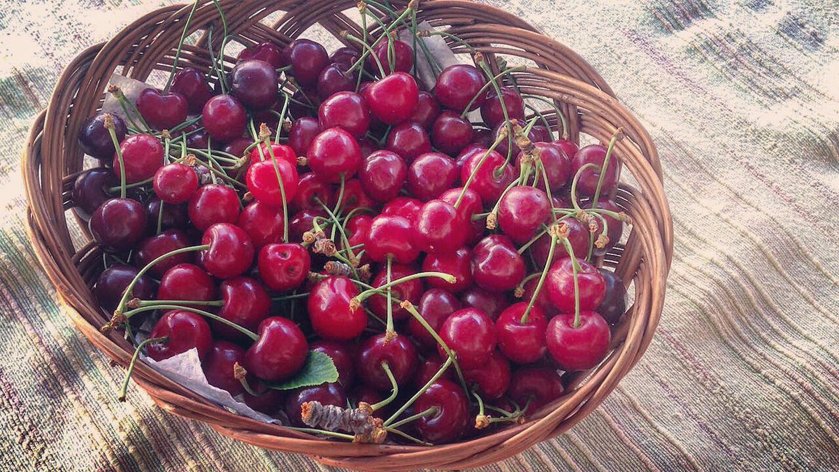 shape_food's tweet photo. Le ricchezze pugliesi 🍒 #ciliegie #Puglia https://t.co/N65lttxkjg