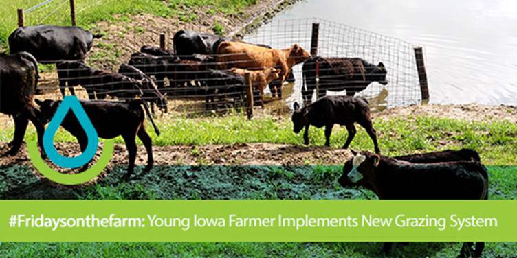 USDA_NRCS's tweet photo. Good for the cattle, good for the land. https://t.co/WK1nSkcwQ2 #FridaysontheFarm https://t.co/c6fgmIgPBb