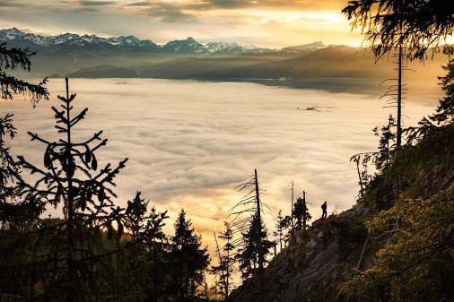 VAUDE_sport's tweet photo. Leaving the clouds right into the sun!
#cloudocean #backcountry #naturelove #acceptableaddictions #roamfree #traillove #sunbreaksthrough https://t.co/khyDdiUAoR