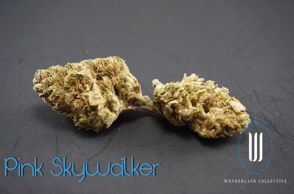 Wonderland_OC's tweet photo. #PinkSkywalker - Ideal for: sleep - pain - appetite - nausea - anxiety. 

Find Pink Skywalker at https://t.co/uBJBvS1uOZ https://t.co/6oYdlF9OjJ