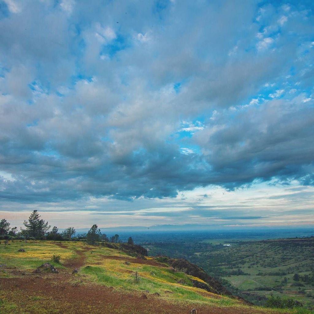UpperParkChico's tweet photo. Look close and you'll find a little Horseshoe Lake off in the distance. ☁️ #chicoca #bidwellpark #upperpark #pereg… https://t.co/HSKJLtzieT https://t.co/Yst5fTBTy0
