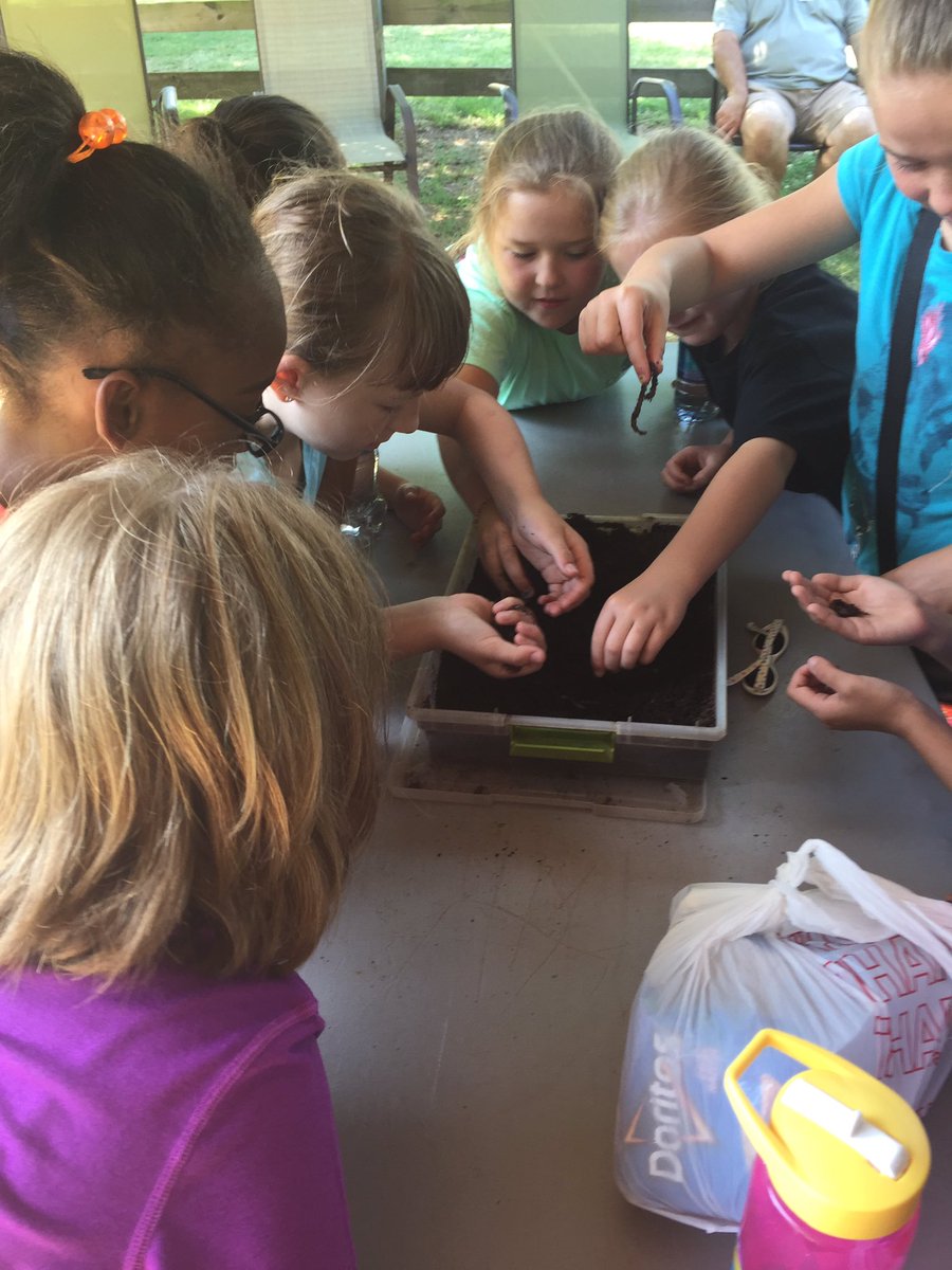 websfrogs's tweet photo. Rock Ranching had been AMAZING for the Fabulous Frogs today 🐸 🐸 🐸 https://t.co/VKxCBBnQcu