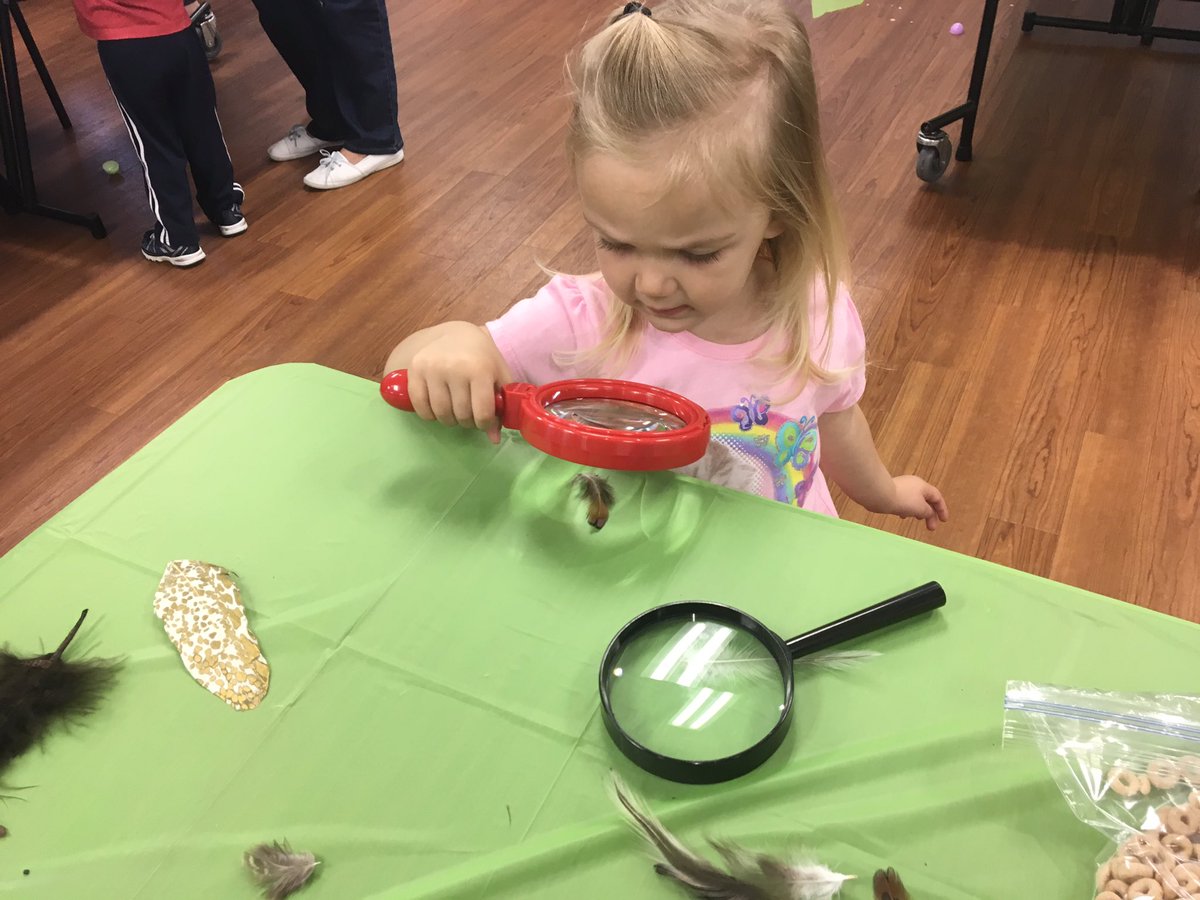 idarupp's tweet photo. #PreschoolExplorers learned more about birds today.
More pics on our Facebook. https://t.co/GACHSCX7Ke