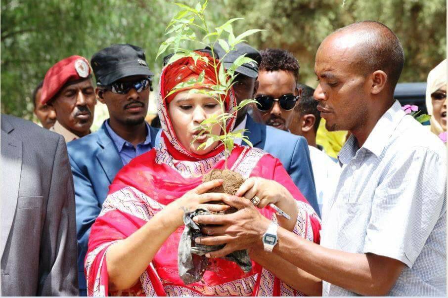abdirahmnMuse's tweet photo. this year we celebrate differently #18May2017
#MySomaliland https://t.co/NT8Q8nu5nw