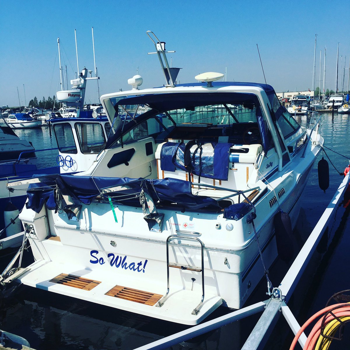thesea_se's tweet photo. She is in The water! :))) https://t.co/LE9Wv2egfl #boat #boats #searay #searay300 #sweden #denmark #summer #lovely #sun #water #yacht https://t.co/AwsWiUjlcY
