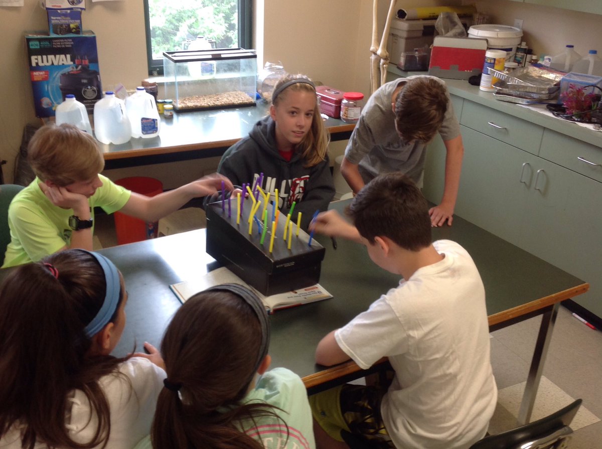 MSHSeureka's tweet photo. Last day of school, STEM experiments in progress, students still learning! Happy Summer Vacation in 66 minutes.@MSHEureka @archstl https://t.co/POhACW6n4N
