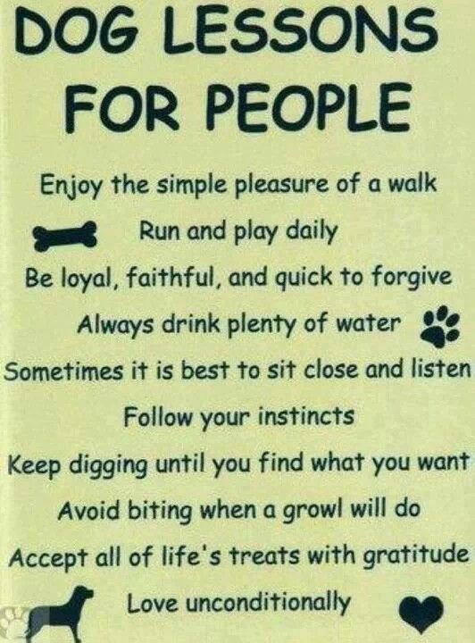 HSFpets's tweet photo. Rules for Life...from our canine friends! #Phoenixville #ChescoPets ##HSFPets #BringYourPetToTheCountry #MainLinePets #PhillyBurbs https://t.co/LYUM7SbEA3