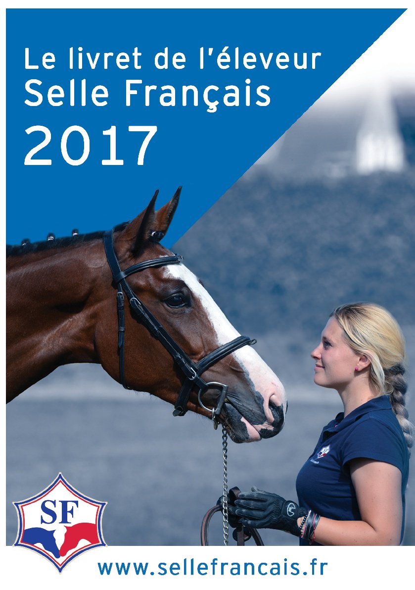 Selle Français tweet media