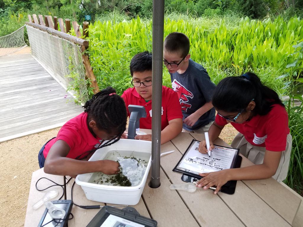 MrsNFriemel's tweet photo. @farinefalcons showing Falcon pride by working together and asking great questions.  #falconssoar #scienceconversations https://t.co/6RzII6426n