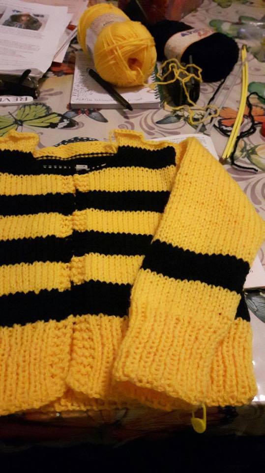 napelena's tweet photo. @steelers My mom is knitting for my twins due early fall. She wants 2" patches for these, and can't find any. Help my mini fans out?! <3 https://t.co/dRCOWqO8ps