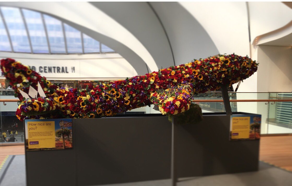 Emi_Lou24's tweet photo. @Monarch #YearOfNice The beautiful flowers relating to new monarch flights. Stunning. Just given my flower to a homeless woman, she smiled. https://t.co/mXdXf2IKu8
