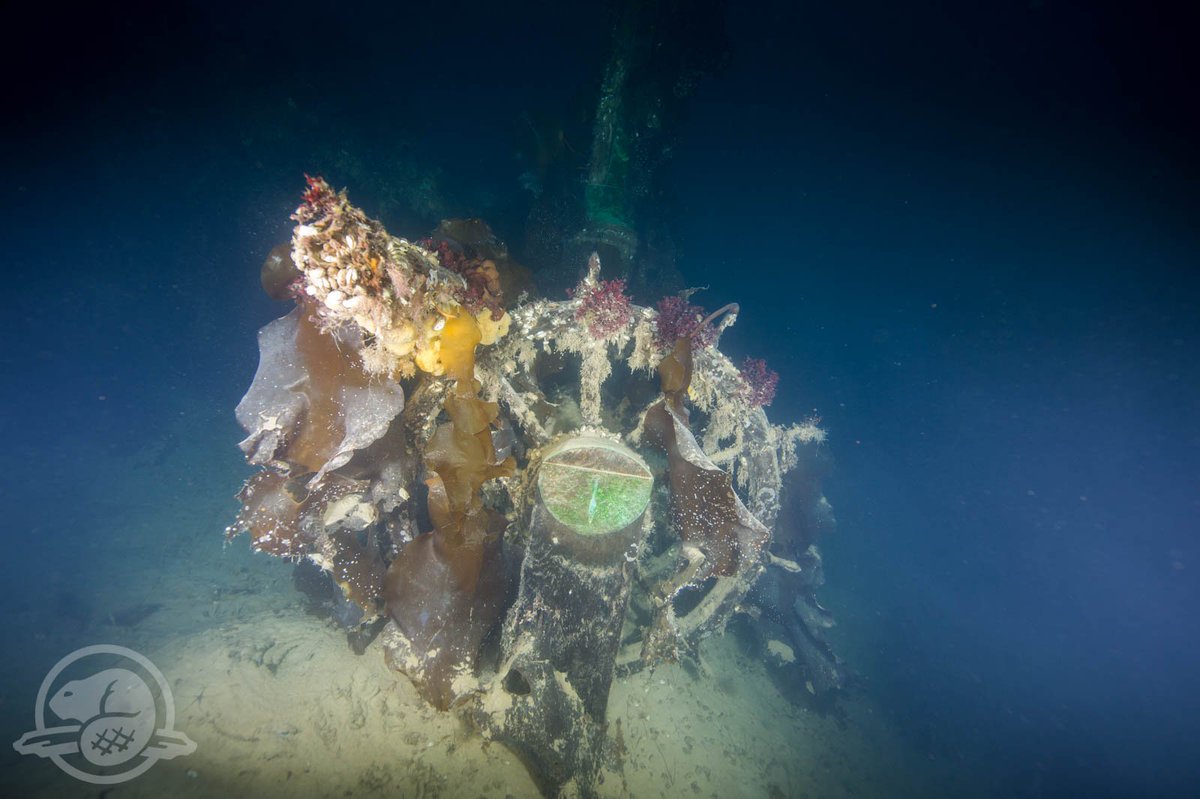 PCArchaeology's tweet photo. #OTD in 1845: #Franklin and his crew left England on an Arctic expedition. What does #HMSTerror reveal today? Stay tuned for more! #History https://t.co/lGpMc0UQXR