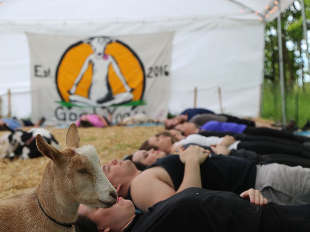 Irma Celi Irmaceli1 Twitter