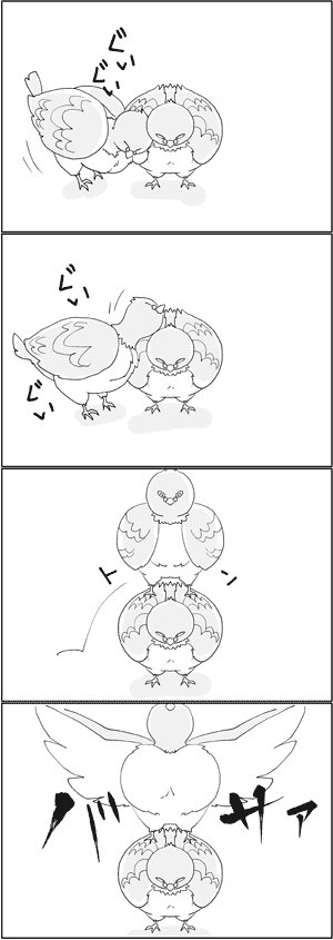 鳩が二羽いて、こうなって、こうなった。なんでだ。 