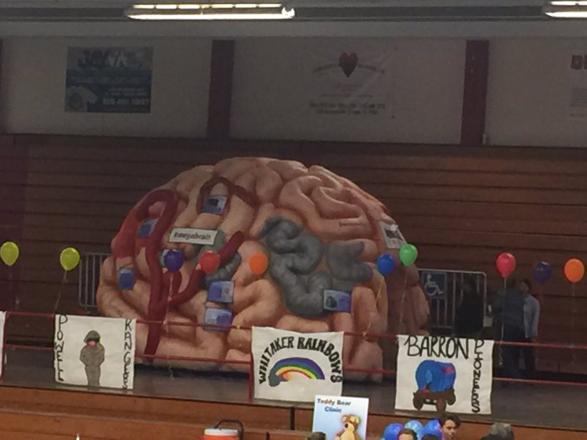 cctaphoenixes's tweet photo. #iamepisd #ProudNStrong Jefferson/Silva welcomes the Teddy Bear Clinic. Hundreds of 5th graders visit campus to learn about health careers https://t.co/DNGSYSK6kb