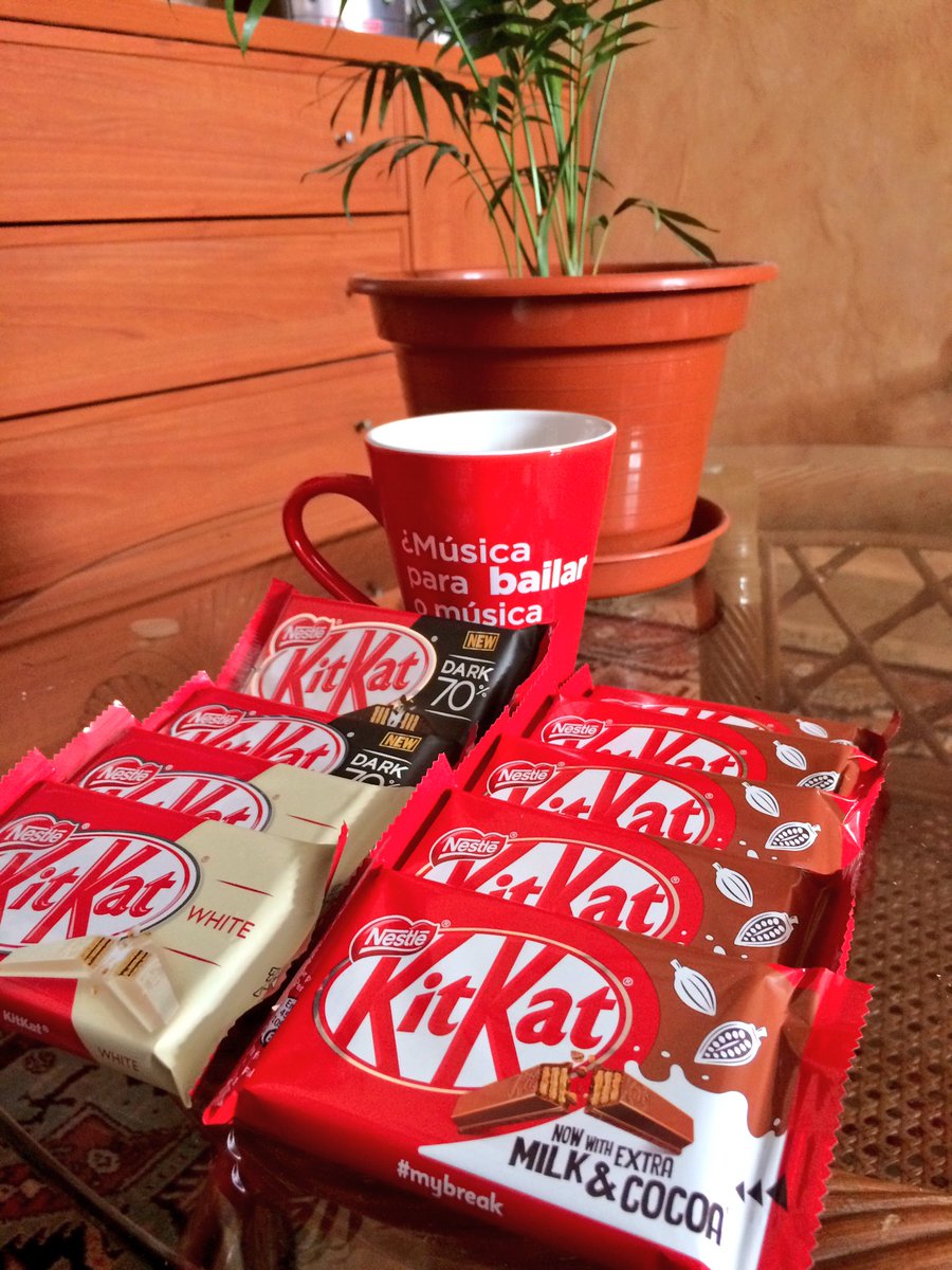 fonsplash's tweet photo. ¿Continuar estudiando o tener felicidad absoluta? #breakdecisions #mybreak https://t.co/RGeHM6WmF5