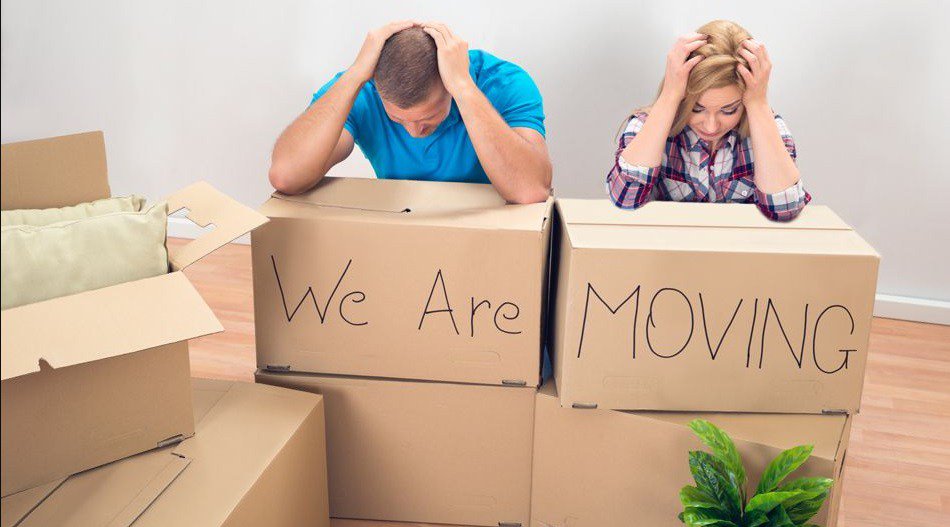 TurnKeyHouses's tweet photo. Managing Tenant Turnover https://t.co/19ccvspg3J https://t.co/ePUSECYEGC