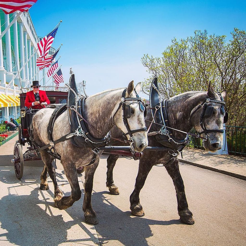 GrandHotelMI's tweet photo. Happy Friday! #grandhotelmichigan #mackinacisland #americassummerplace #130grandanniversary #summerresort #makeitm… https://t.co/y3jrTIuzCF https://t.co/KjP41yV4hR