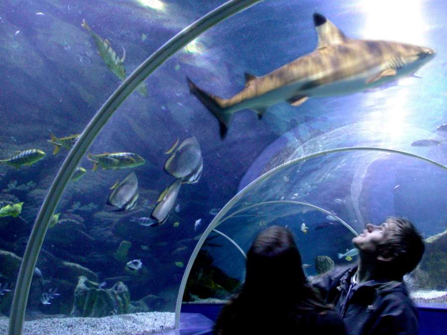 OtherVisionDM's tweet image. Things to do in North Cornwall
touradvice.org/things-to-do-n…