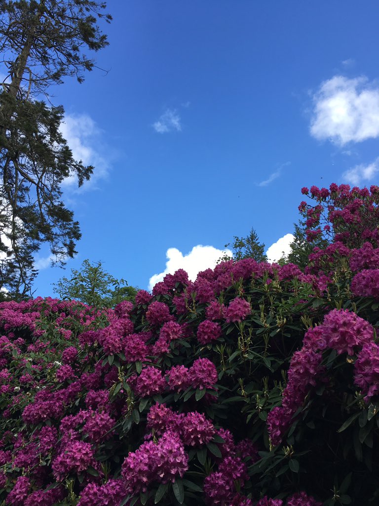 laurafrankstone's tweet photo. Skies over Pembrokeshire @lovepembs @PembsCoast @VisitPembs @pocketpembs https://t.co/JBrvxm72yB