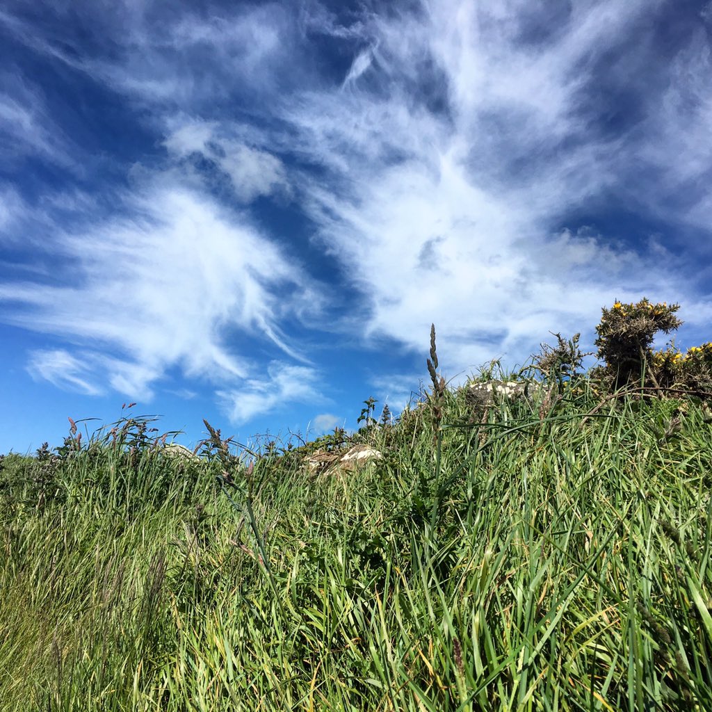 laurafrankstone's tweet photo. Skies over Pembrokeshire @lovepembs @PembsCoast @VisitPembs @pocketpembs https://t.co/JBrvxm72yB