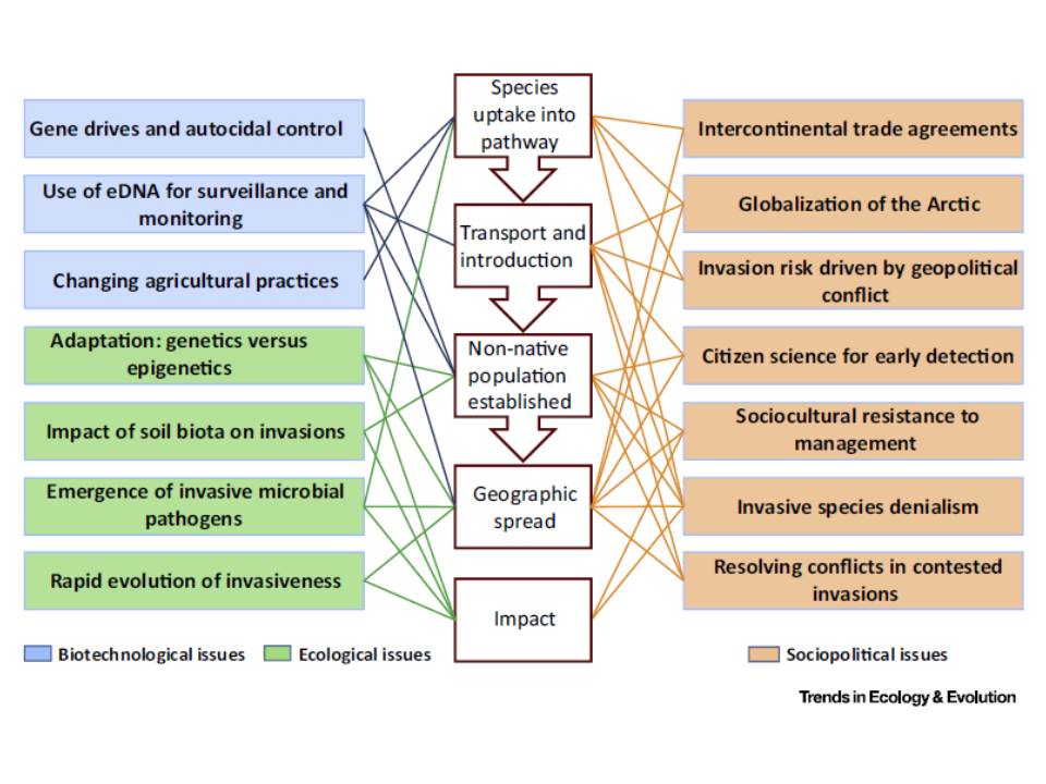 TREE paper published online!
'Invasion Science: A Horizon Scan of Emerging Challenges and Opportunities'
doi.org/10.1016/j.tree…