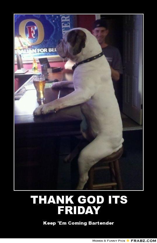 StephaniEmerges's tweet photo. #FF
@sylvieHL
@Shazzl3
@Molly_Mary_Bell
@lechatmalefique
@hidingintrees
@KendraBrill
@PaulJTra
Have a great weekend!❤️ https://t.co/mozH2S1154