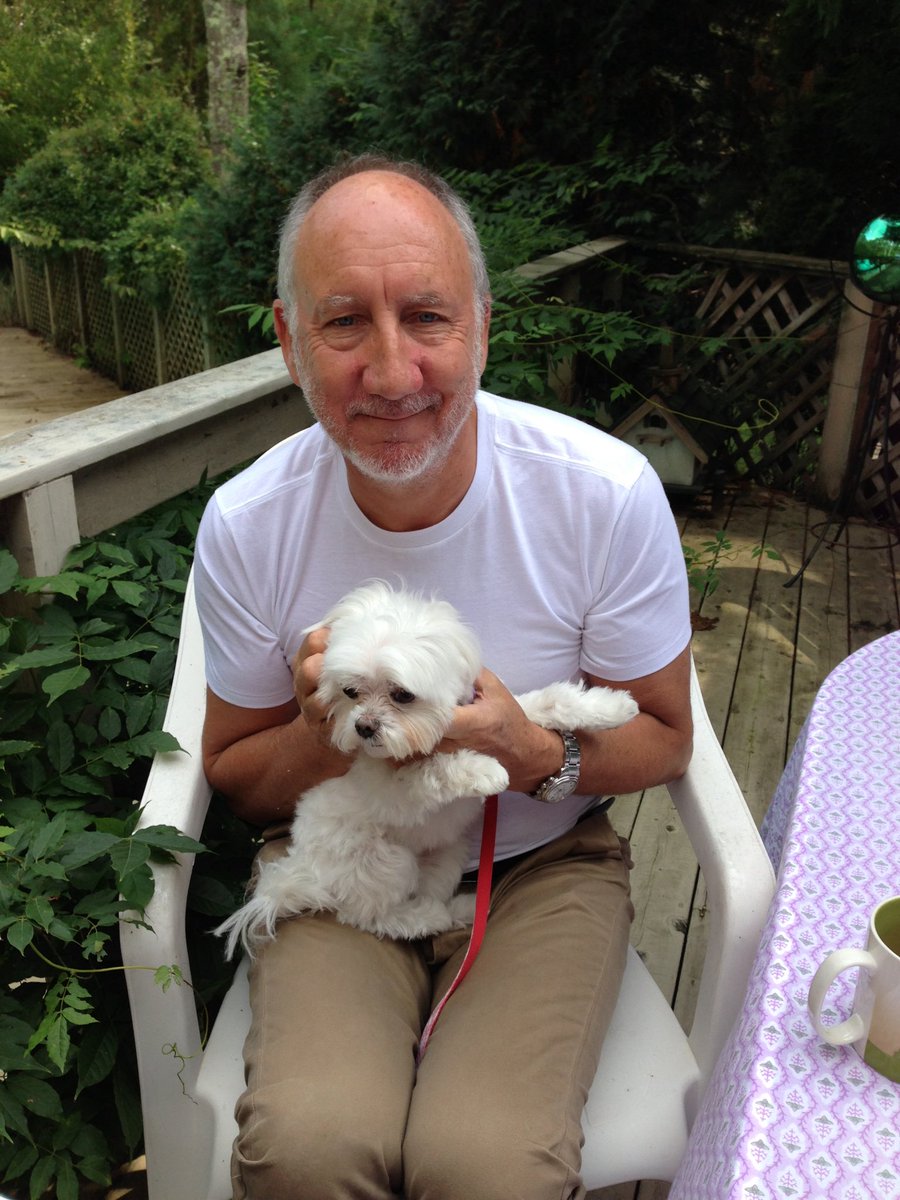 CalixteStamp's tweet photo. 🎂🇬🇧🎸 #HappyBirthday #PeteTownshend #Wizard #Composer #Musician #Genius @TheWho w/ #Lola in our #Home 2012 #Author 💜💥🎂@lambertstampmov https://t.co/gs0Rv0WkBq